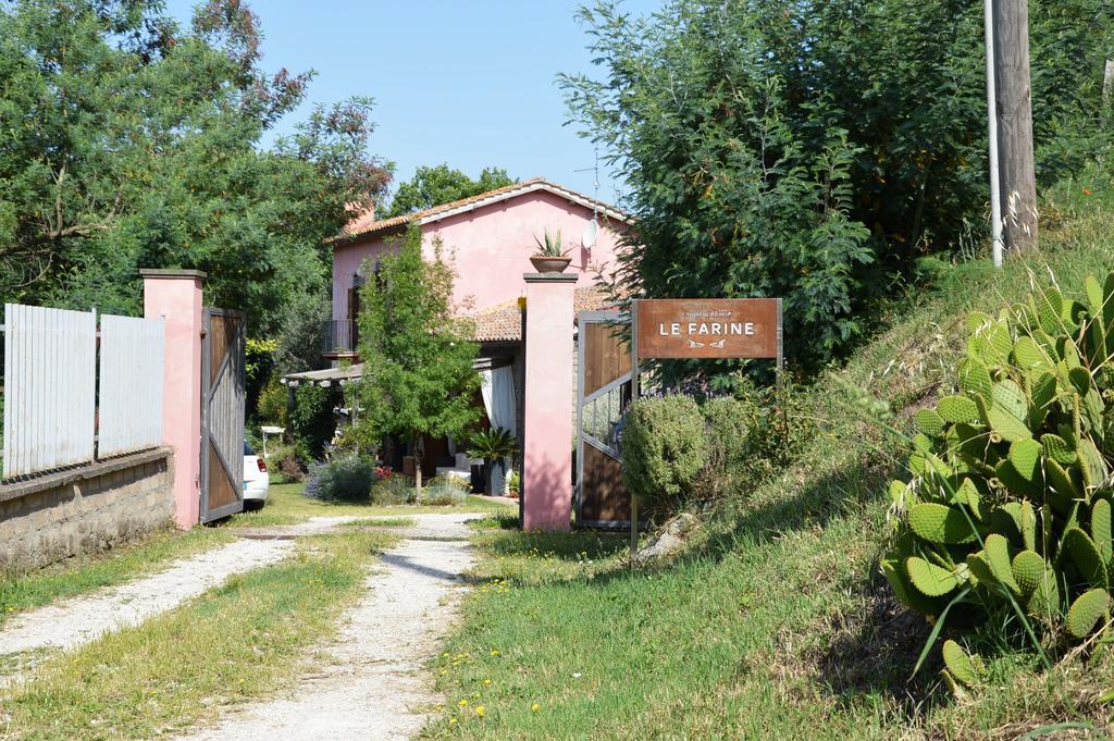 Il Casale Alle Farine Viterbo Exteriör bild