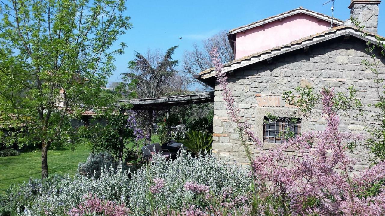 Il Casale Alle Farine Viterbo Exteriör bild